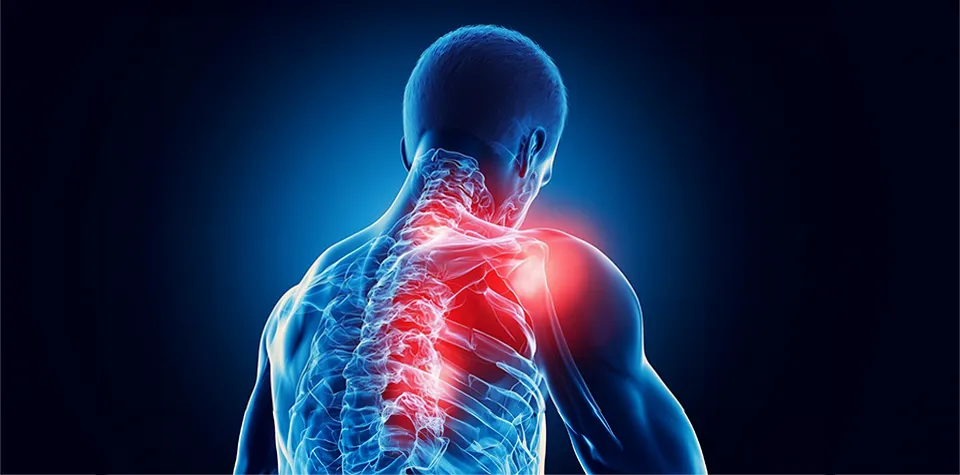 Clinical Article Movement